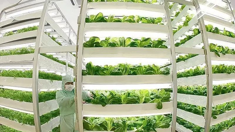 果蔬配送报价单里藏着哪些门道