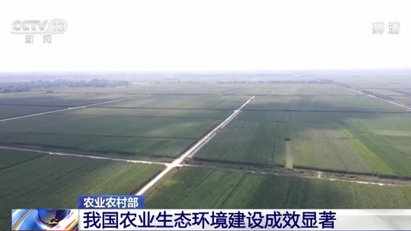 绿色食品认证：守护舌尖上的安全，如何选择可靠认证公司