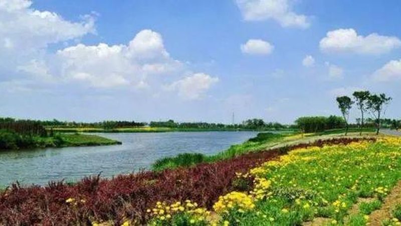 山东大棚水果种植，成本控制关键在哪里？**