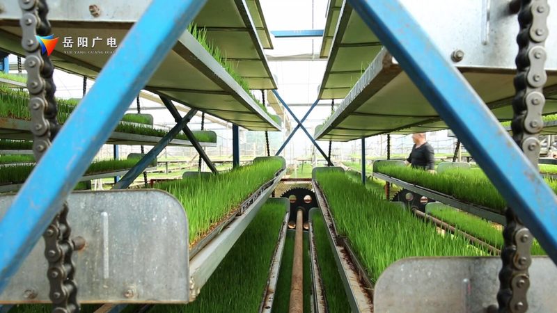 农业种植技术学习网站：如何选择优质平台助力种植效益提升