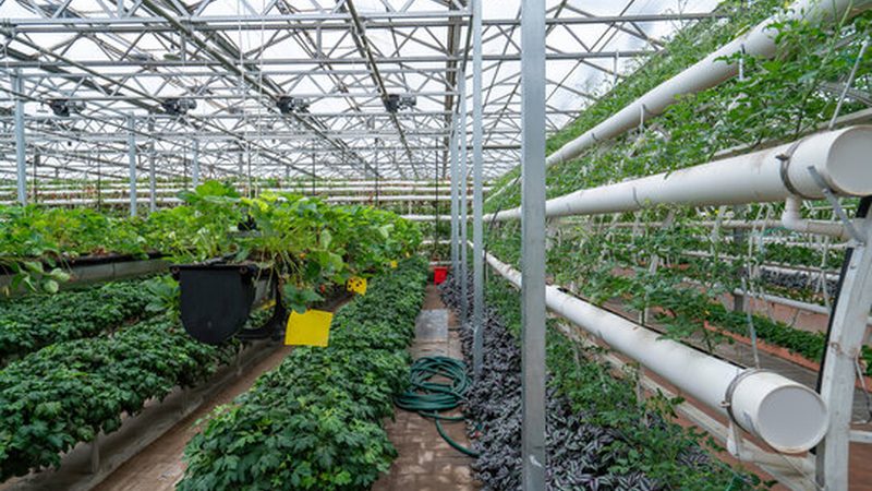 种植技术书籍电子版下载