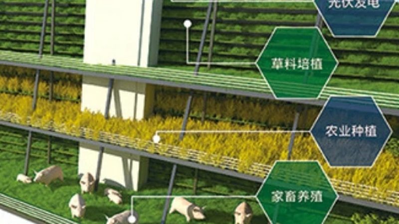 价格是消费者选择农资品牌的重要考虑因素。以下是一些影响农资价格的因素：