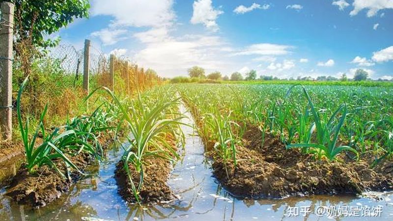 农资集采定制价格，到底贵在哪