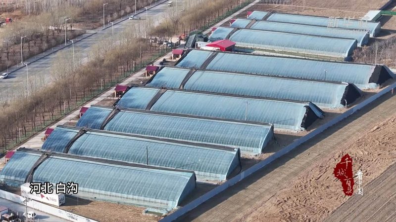 以下是一家在智慧农业领域具有代表性的公司案例：