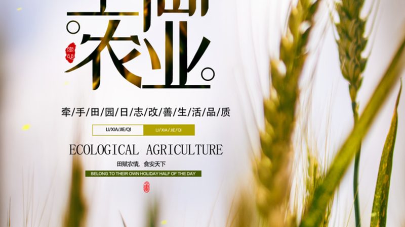 食堂生鲜配送每日用量计算